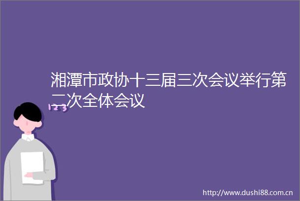 湘潭市政协十三届三次会议举行第二次全体会议