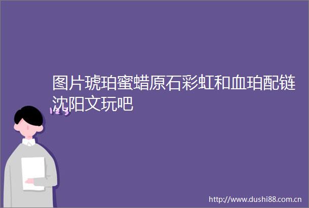 图片琥珀蜜蜡原石彩虹和血珀配链沈阳文玩吧