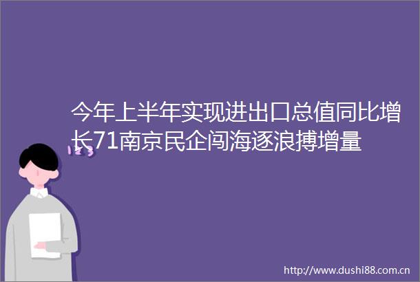 今年上半年实现进出口总值同比增长71南京民企闯海逐浪搏增量