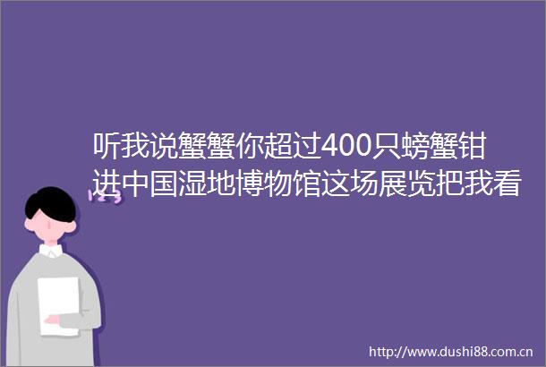 听我说蟹蟹你超过400只螃蟹钳进湿地博物馆这场展览把我看饿了