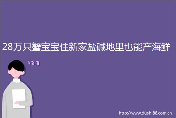28万只蟹宝宝住新家盐碱地里也能产海鲜