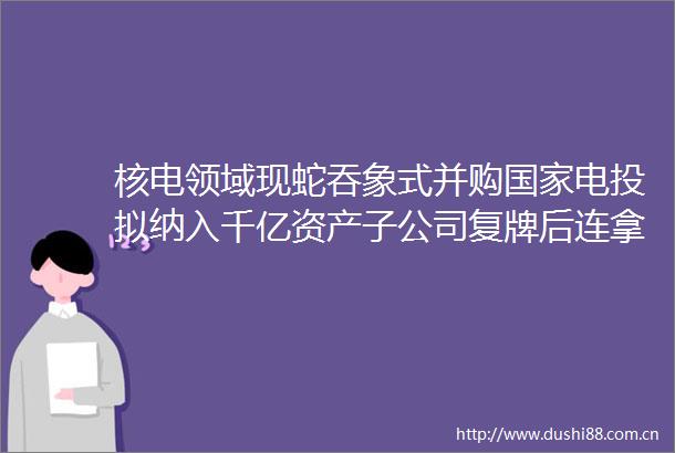 核电领域现蛇吞象式并购电投拟纳入千亿资产子公司复牌后连拿两个涨停