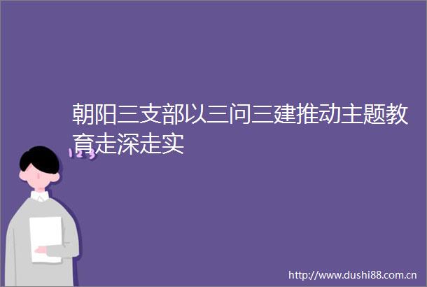 朝阳三支部以三问三建推动主题教育走深走实