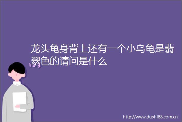 龙头龟身背上还有一个小乌龟是翡翠色的请问是什么