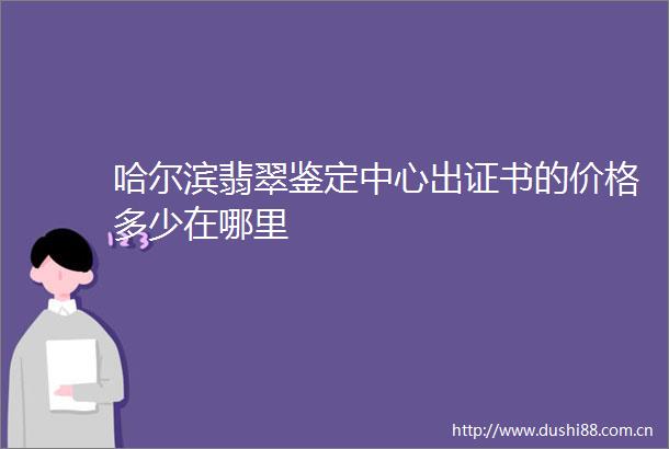 哈尔滨翡翠鉴定中心出证书的价格多少在哪里