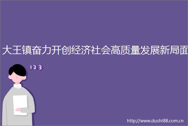 大王镇奋力开创经济社会高质量发展新局面
