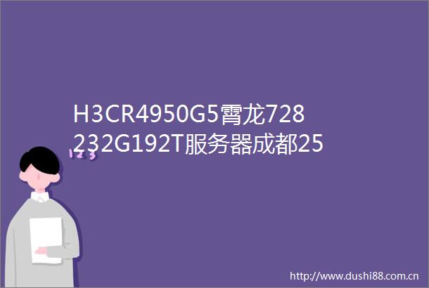 H3CR4950G5霄龙728232G192T服务器成都25899元