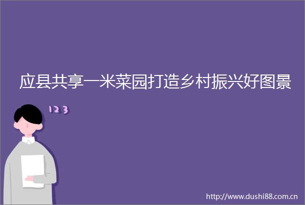 应县共享一米菜园打造乡村振兴好图景