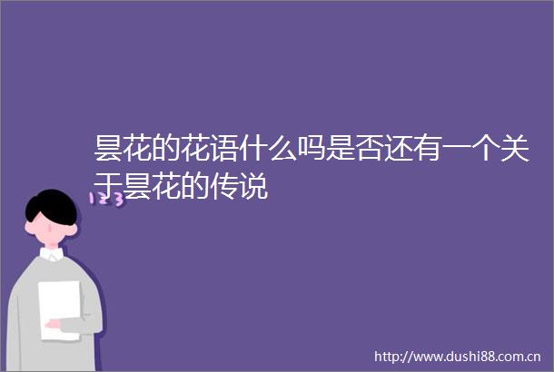 昙花的花语什么吗是否还有一个关于昙花的传说