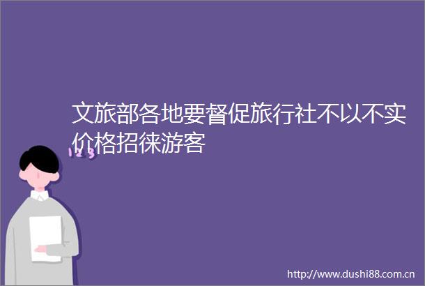 文旅部各地要督促旅行社不以不实价格招徕游客