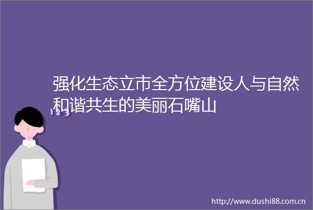 强化生态立市全方位建设人与自然和谐共生的美丽石嘴山
