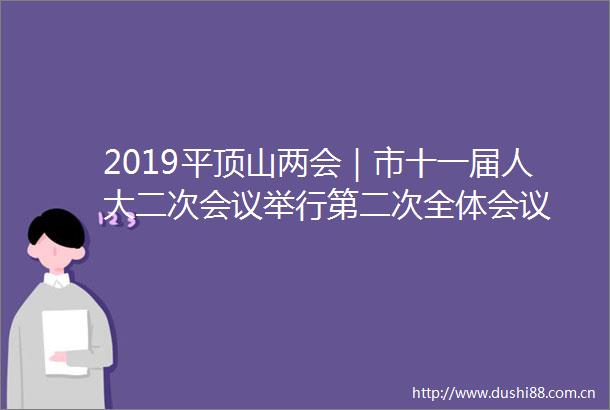 2019平顶山两会｜市十一届人大二次会议举行第二次全体会议