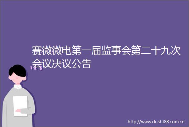 赛微微电第一届监事会第二十九次会议决议公告