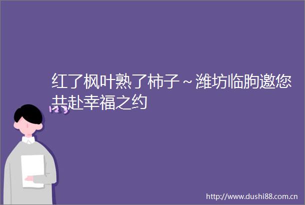 红了枫叶熟了柿子～潍坊临朐邀您共赴幸福之约