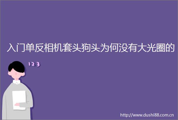 入门单反相机套头狗头为何没有大光圈的