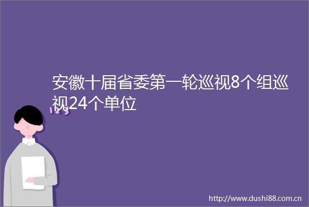 安徽十届省委第一轮巡视8个组巡视24个单位