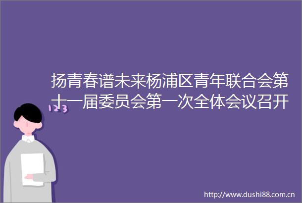 扬青春谱未来杨浦区青年联合会第十一届委员会第一次全体会议召开