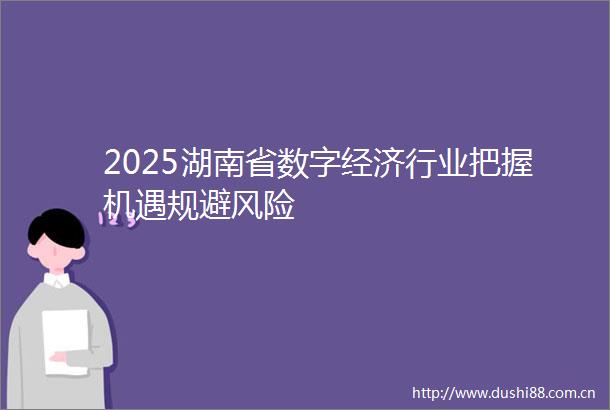 2025湖南省数字经济行业把握机遇规避风险