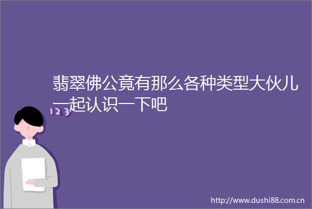 翡翠佛公竟有那么各种类型大伙儿一起认识一下吧