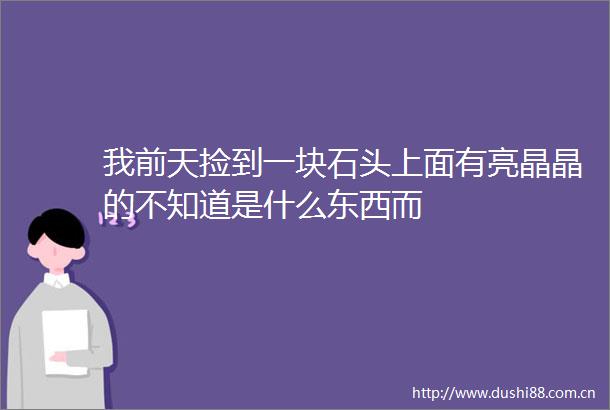 我前天捡到一块石头上面有亮晶晶的不知道是什么东西而