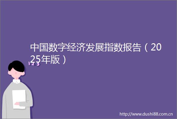 数字经济发展指数报告（2025年版）