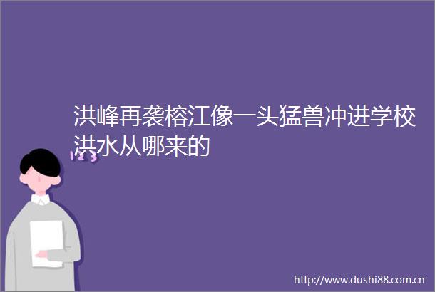 洪峰再袭榕江像一头猛兽冲进学校洪水从哪来的
