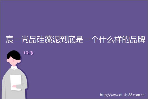 宸一尚品硅藻泥到底是一个什么样的品牌