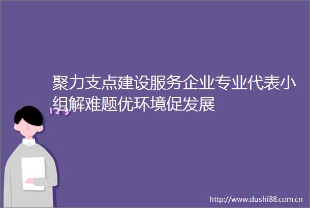 聚力支点建设服务企业专业代表小组解难题优环境促发展