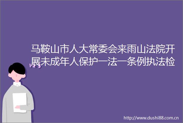 马鞍山市人大常委会来雨山开展未成年人保护一法一条例检查