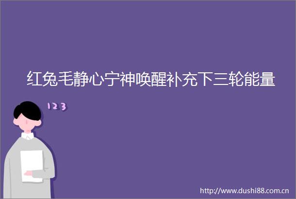 红兔毛静心宁神唤醒补充下三轮能量