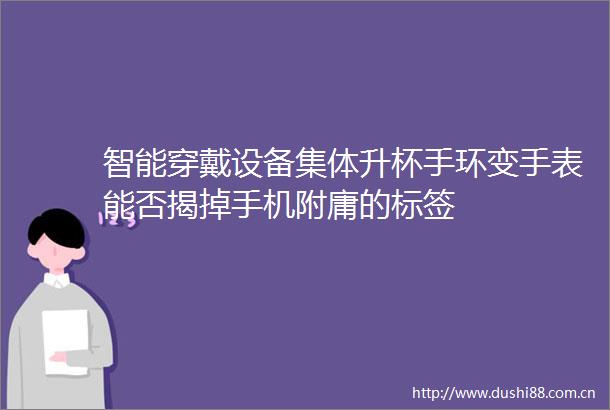 智能穿戴设备集体升杯手环变手表能否揭掉手机附庸的标签