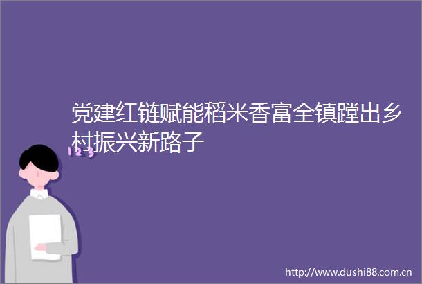 党建红链赋能稻米香富全镇蹚出乡村振兴新路子