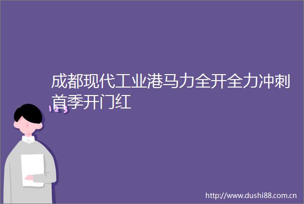 成都现代工业港马力全开全力冲刺首季开门红