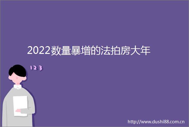 2022数量暴增的法拍房大年