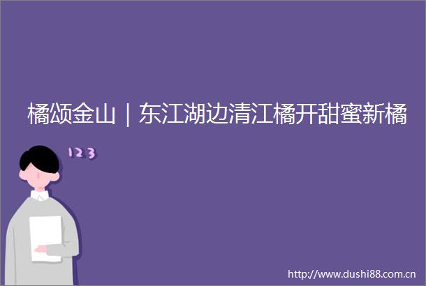 橘颂金山｜东江湖边清江橘开甜蜜新橘