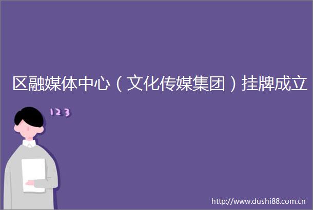 区融媒体中心（文化传媒集团）挂牌成立