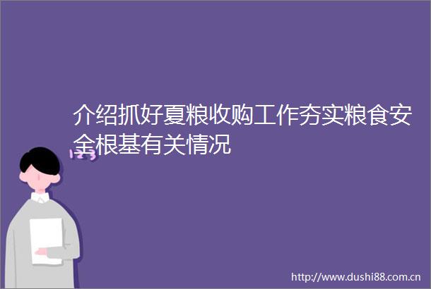 介绍抓好夏粮收购工作夯实粮食安全根基有关情况