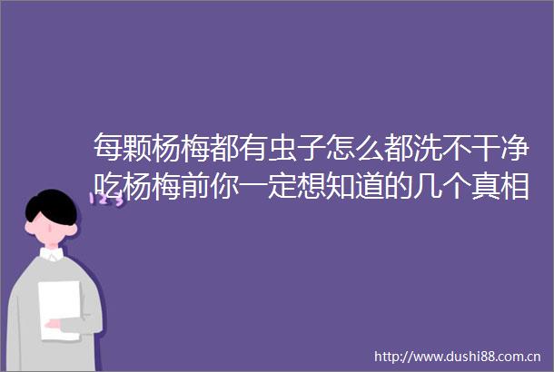 每颗杨梅都有虫子怎么都洗不干净吃杨梅前你一定想知道的几个真相