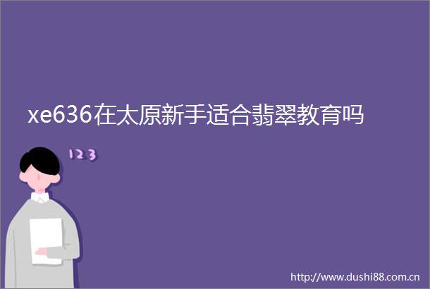 xe636在太原新手适合翡翠教育吗