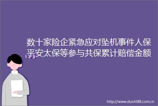 数十家险企紧急应对坠机人保平安太保等参与共保累计赔偿金额或达数亿元