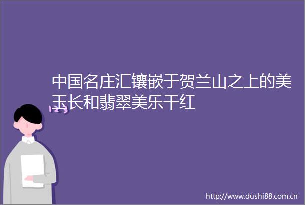 名庄汇镶嵌于贺兰山之上的美玉长和翡翠美乐干红