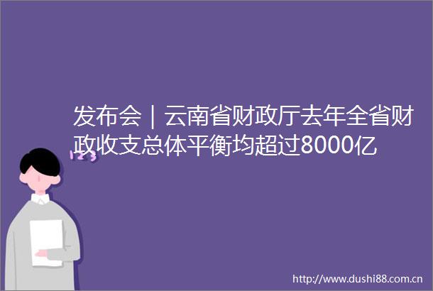 发布会｜云南省财政厅去年全省财政收支总体平衡均超过8000亿元
