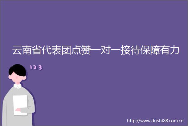 云南省代表团点赞一对一接待保障有力