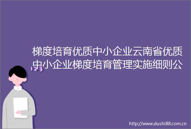 梯度培育优质中小企业云南省优质中小企业梯度培育管理实施细则公开征求意见