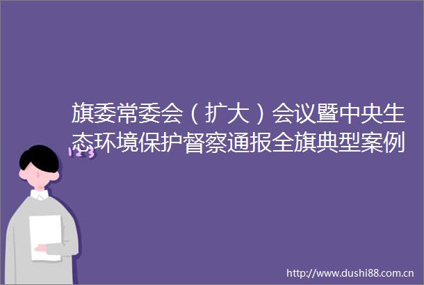 旗委常委会（扩大）会议暨中央生态环境保护督察通报全旗典型案例问题整改工作动员会议召开