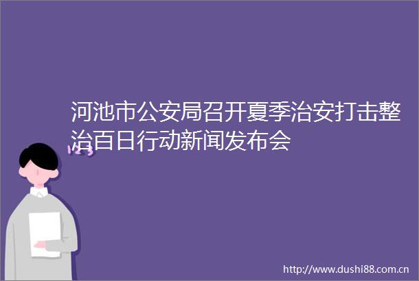 河池市局召开夏季治安打击整治百日行动新闻发布会