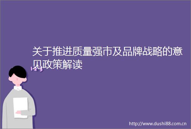 关于推进质量强市及品牌战略的意见政策解读