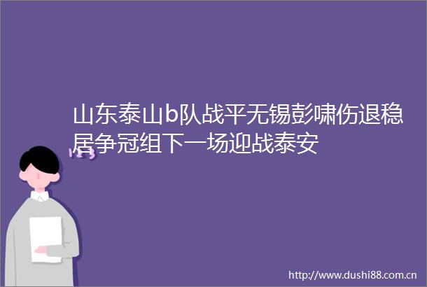 山东泰山b队战平无锡彭啸伤退稳居争冠组下一场迎战泰安