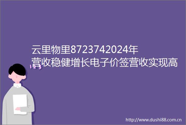 云里物里8723742024年营收稳健增长电子价签营收实现高增