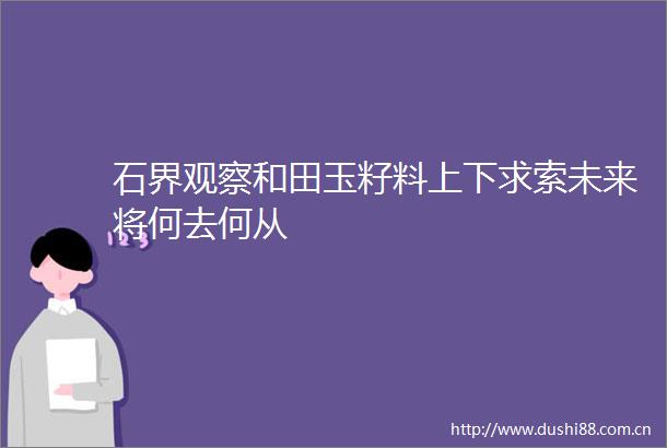 石界观察和田玉籽料上下求索未来将何去何从